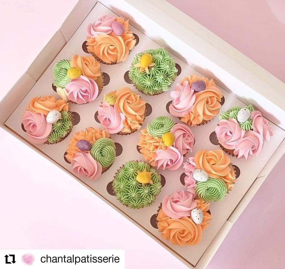 12 Mini Cupcake Boxes with Clear Window - Gloss White
