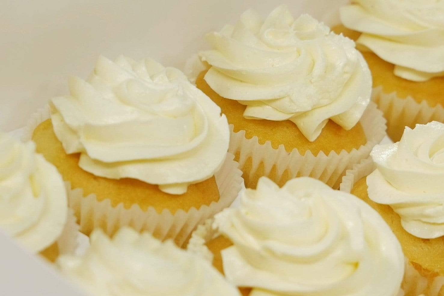 #550 (Regular Cupcake) 1000 Qty, White Paper Patty Pans - Baking Cups
