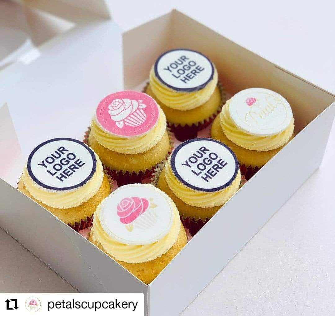 6 Mini Cupcake Boxes with Clear Window - Gloss White